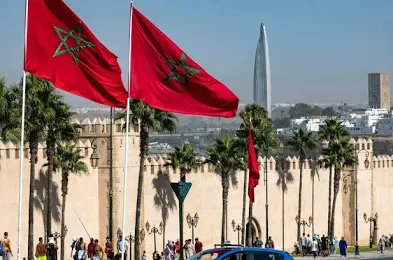 Avocado Farming tweet media