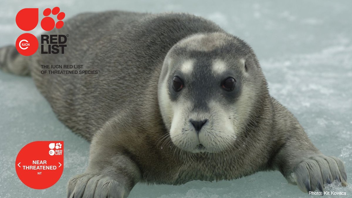 IUCN tweet media