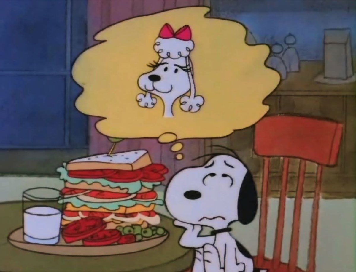 SnoopyFansUS's tweet photo. Snoopy in love 💕✨ https://t.co/SZq7RFzPiP