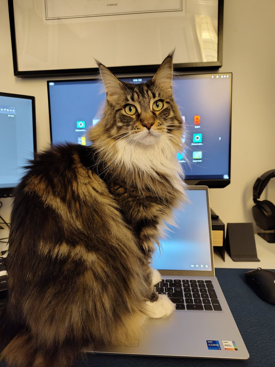 Larenthios tweet media