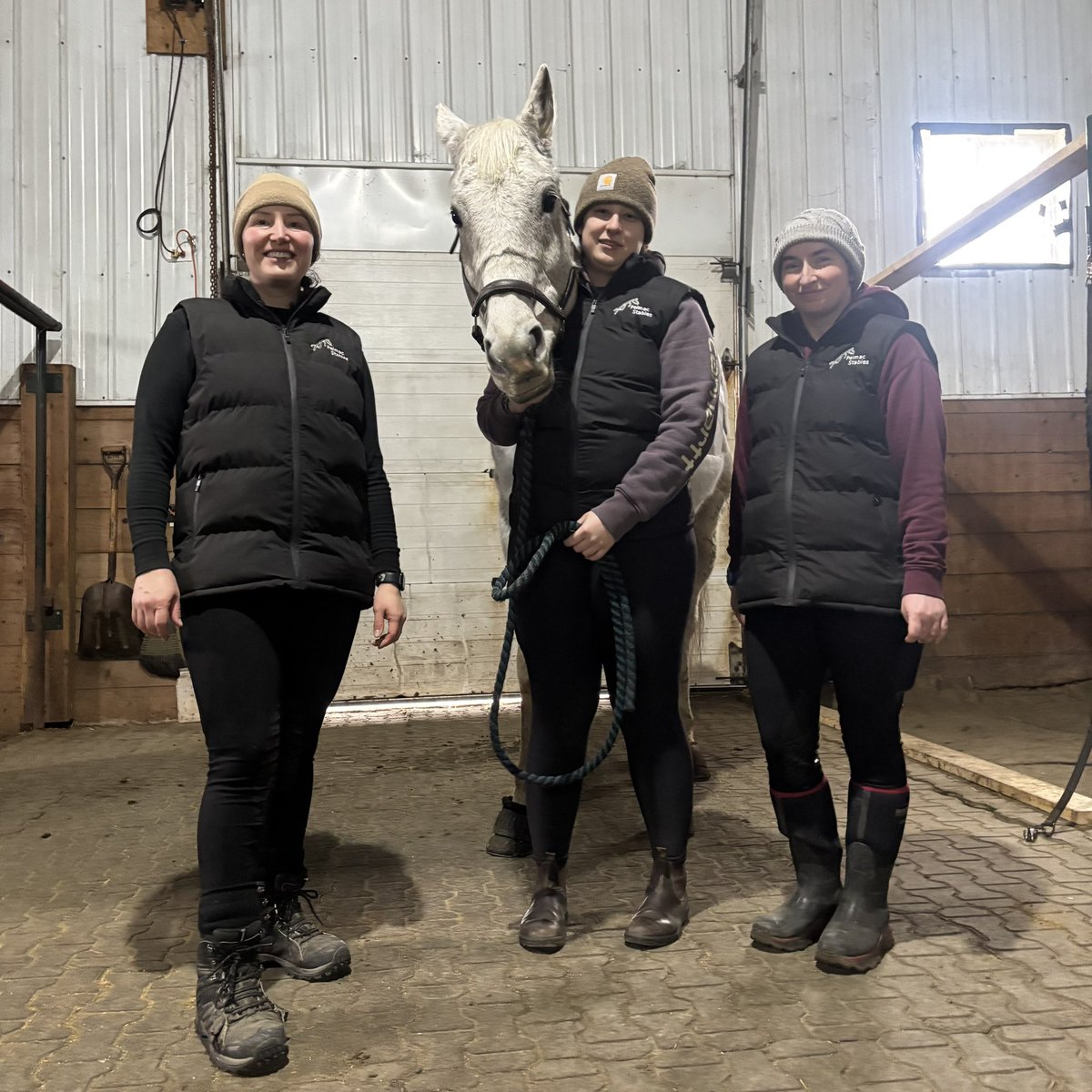 pelmacstables's tweet photo. Our team is always working to expand their knowledge and abilities! This past year we’ve all been busy upgrading our certifications:
Zoë is now an EC Competition Coach Specialist - Jumping
Amber is an EC English Instructor
And Teryn is an EC Competition Coach! https://t.co/pGaKSPUxKf