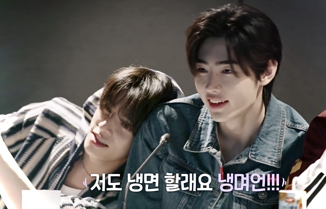 댕댕즈이다 🐶🐻‍❄️