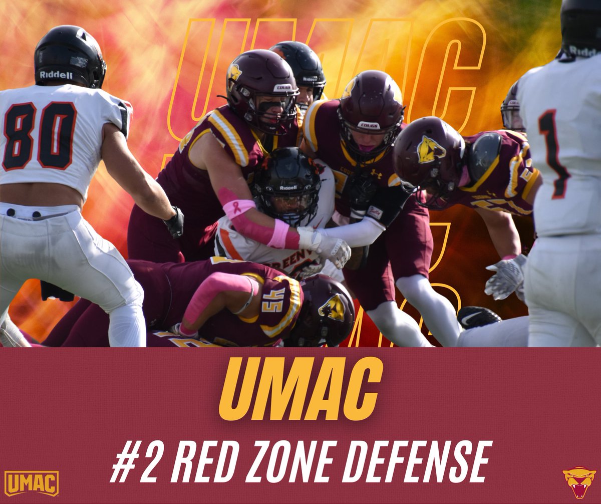 Minnesota Morris Football tweet media