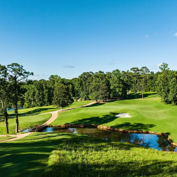 RTJ Golf Trail tweet media