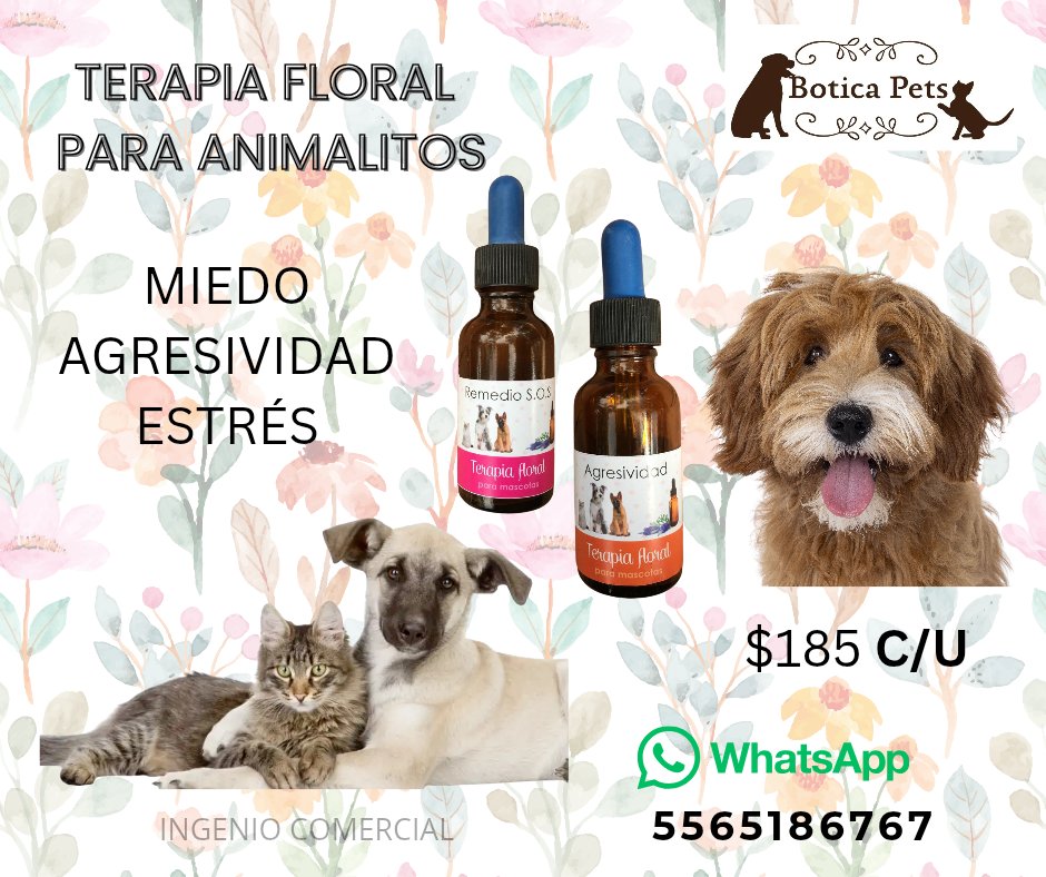 BoticaPets's tweet photo. Porque su tranquilidad no tiene precio. https://t.co/R4oGnG3Syc