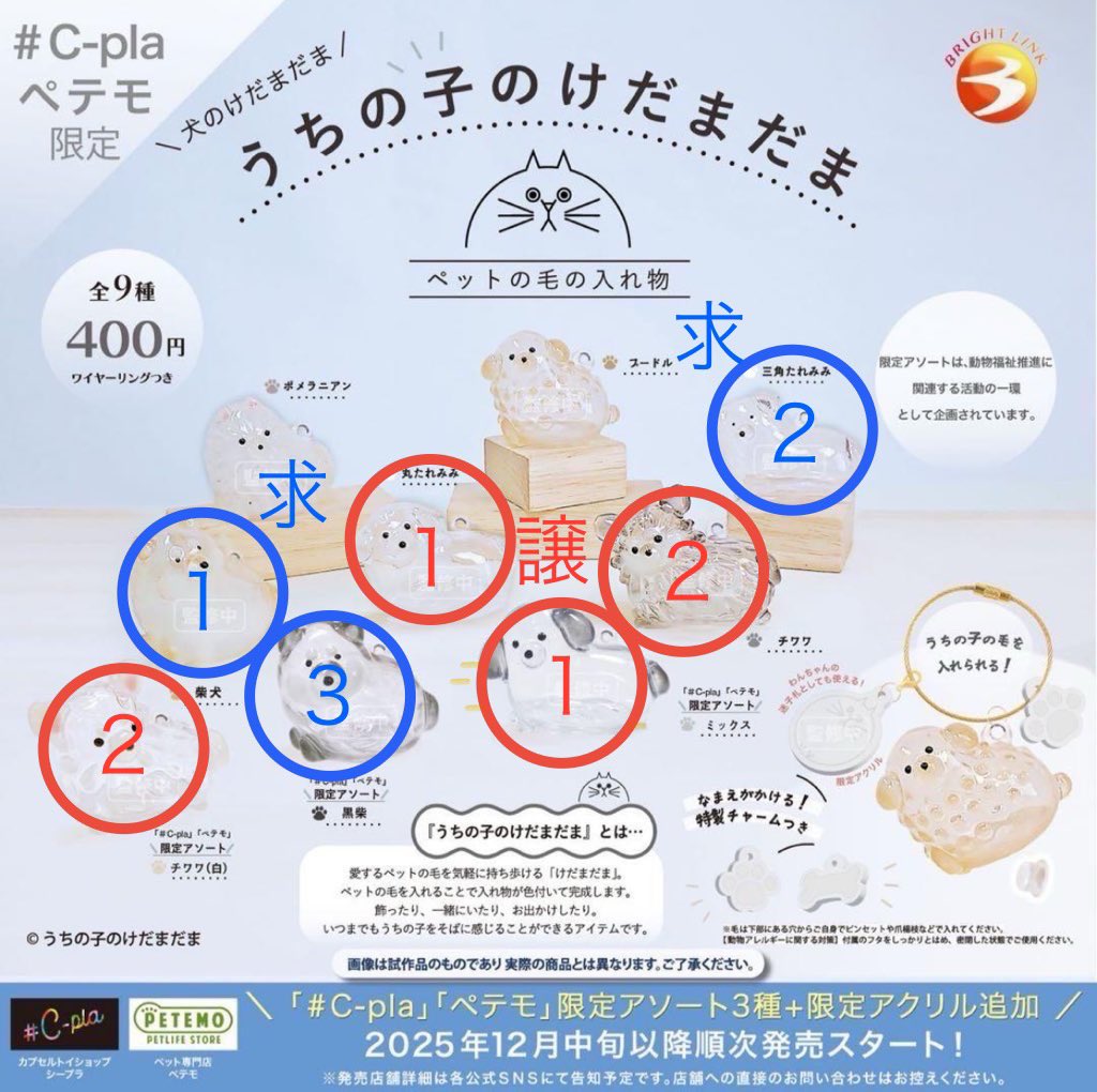 you 🐈初回プロカ必読 tweet media