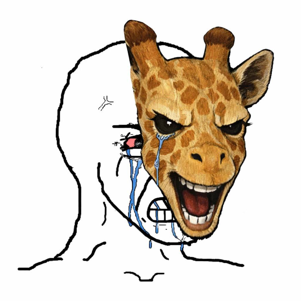 CryptoSpeedy7's tweet photo. Your reaction when $HAL hit 15m marketcap from here and you are sidelined https://t.co/AuGpHyEsBE