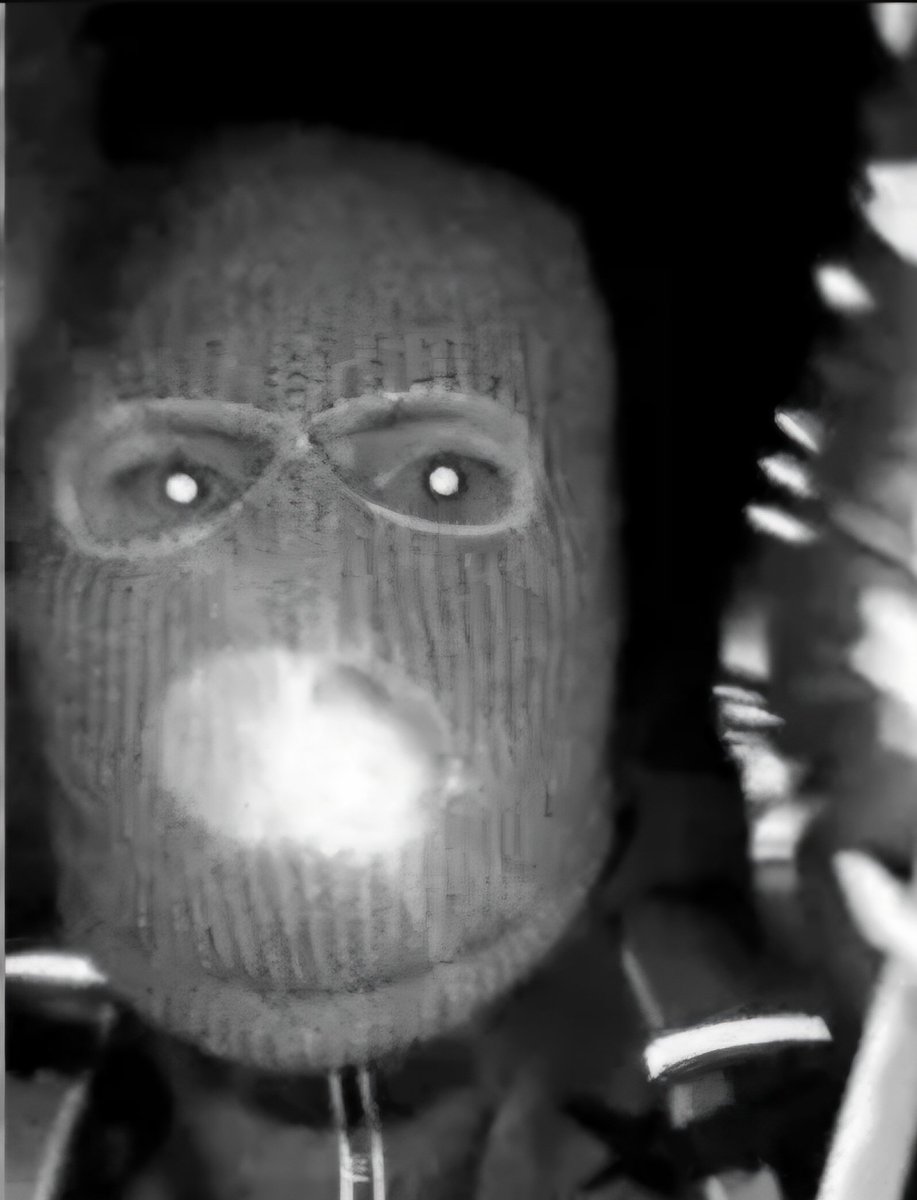 Trump Card MAGA tweet media