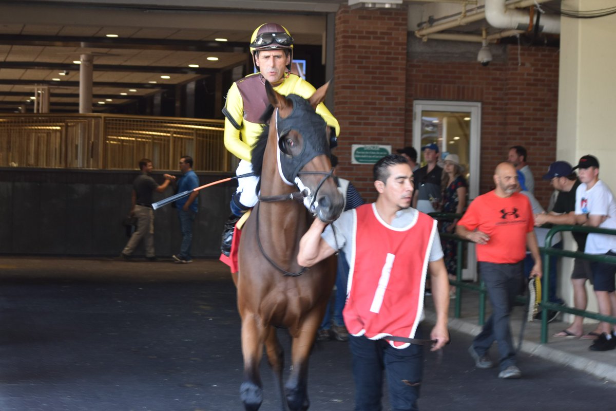 After more than 1,500 wins and 36 years in the saddle, Steve Bahen zurl.co/knK4u has officially retired from racing. Best remembered for guiding 82-1 shot T J’s Lucky Moon to a stunning Queen’s Plate victory in 2002. Explore more on Jockey's Canada!