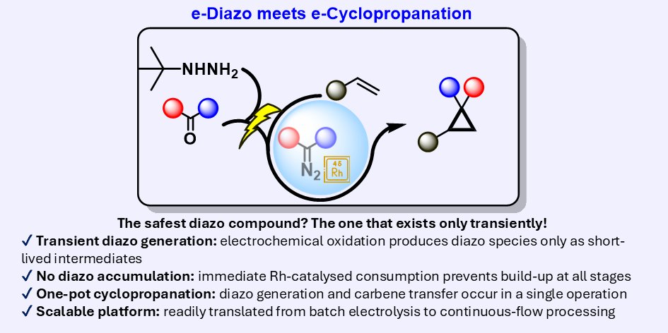 Kevin Lam tweet media