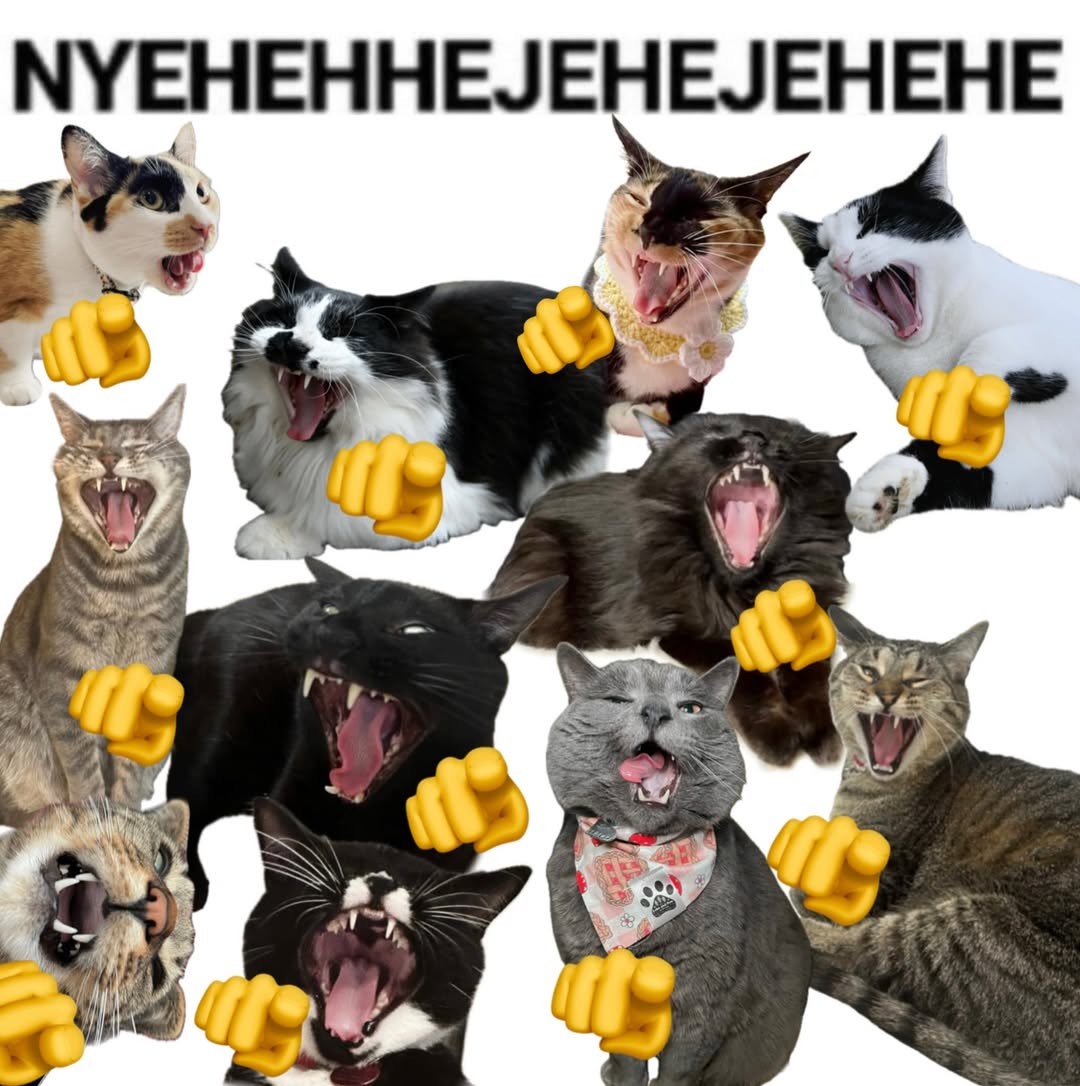 <a href="/teedewy/">tari</a> netijen korsel                netijen indo