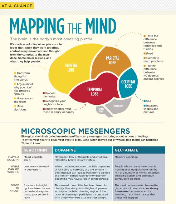 Neuron Powers 🧠 tweet media