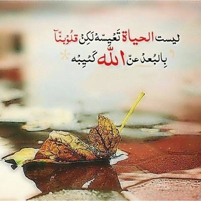 Abu Yasser tweet media