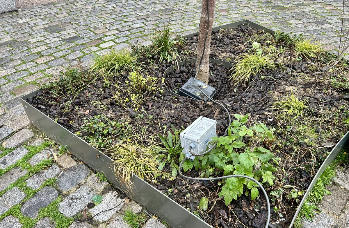 Dominique Dupré-Henry tweet media