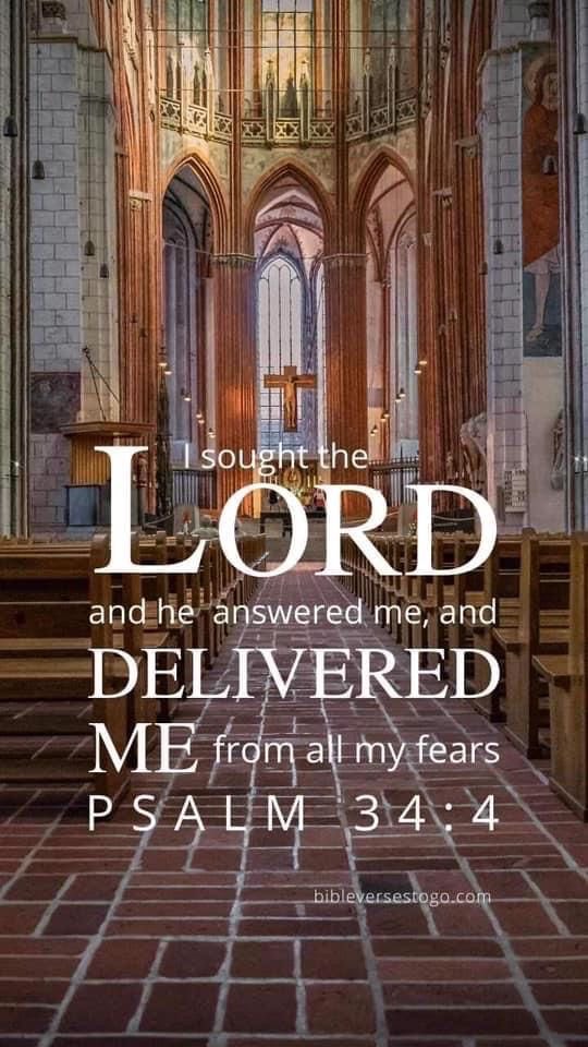 Elder Will Young (@willyoungiii) on Twitter photo 