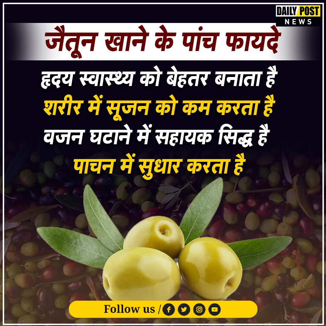 PostHaryana's tweet image. जैतून खाने के पांच फायदे

#olive #dailypost #benifits #DailyPostNews #dailypostharyanahimachal