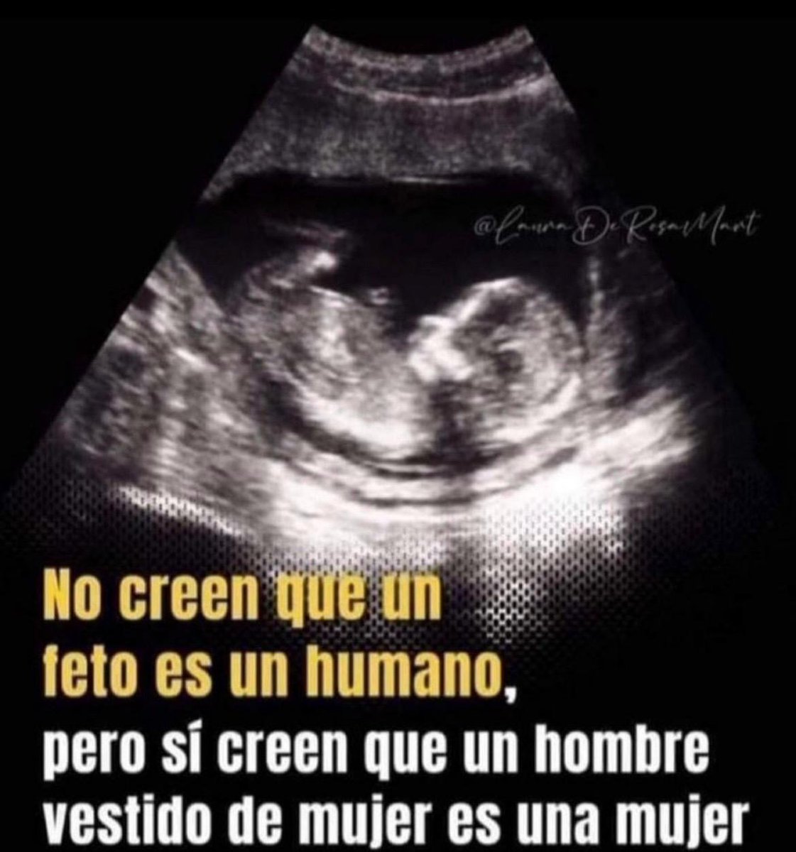 María del Rosario Vargas (@charovargas_) on Twitter photo 