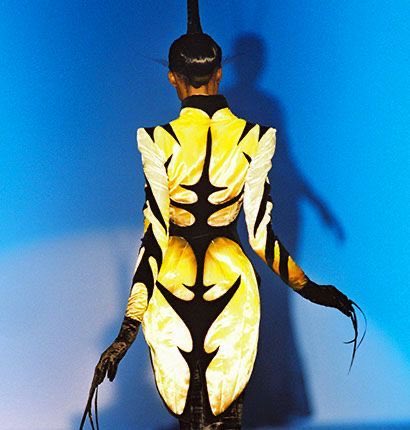 mugler les insectes