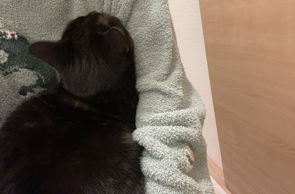 私と猫のラブラブ具合。
お腹痛くてトイレこもってたら
私がいなくて我慢できなくなって
トイレこじ開けて腕にぎゅーしてきます
うっとり顔で見つめてきます
とにかくずっとそばに居てくれます