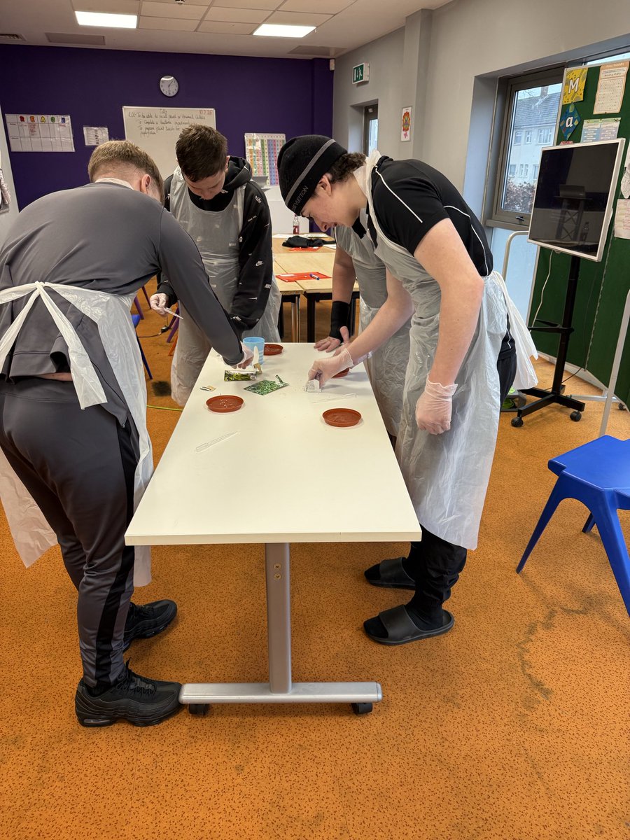 educ8 group tweet media