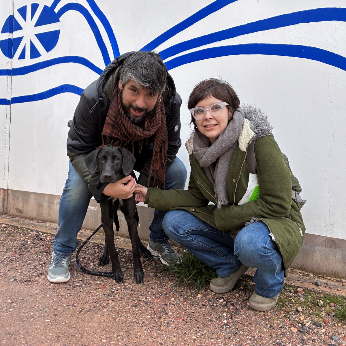 El Refugi dels Peluts tweet media