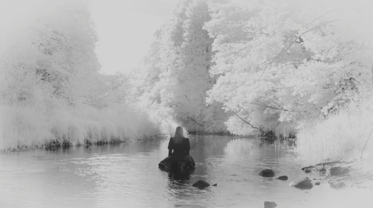 Theodore St. KillGore tweet media