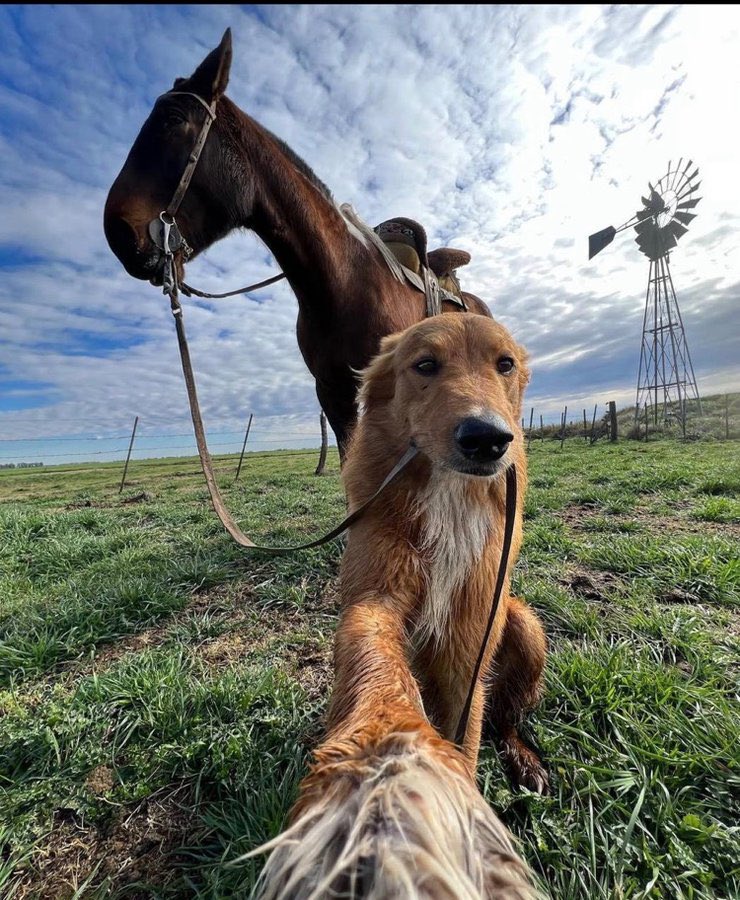 $PREGUNTALE  is here. Let’s hop on this rocket before it blasts off