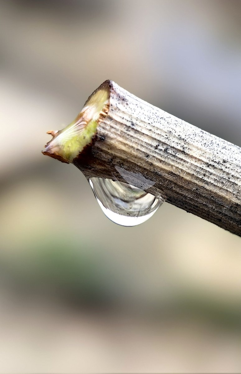 Alèdedrac tweet media