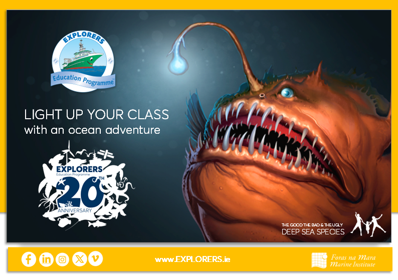 Explorers Education Programme tweet media