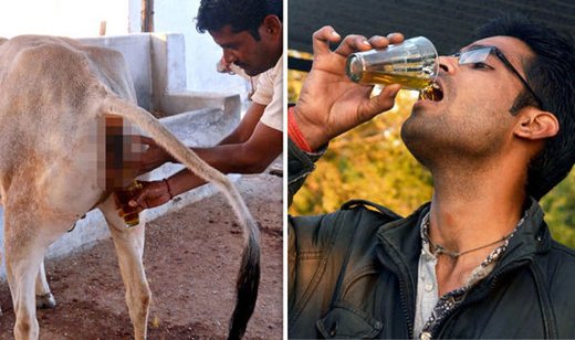 Hawkss_eye's tweet photo. List of countries that “drink cow cola” 😏

2000 — India 🇮🇳
2001 — India 🇮🇳
2013 — India 🇮🇳
2014 — India 🇮🇳
2015 — India 🇮🇳
2016 — India 🇮🇳
2017 — India 🇮🇳
2018 — India 🇮🇳
2019 — India 🇮🇳
2020 — India 🇮🇳
2021 — India 🇮🇳
2022 — India 🇮🇳
2023 — India 🇮🇳
2024 — India 🇮🇳
2025 — India 🇮🇳
2026 — India 🇮🇳, Afghanistan 🇦🇫

Seems like the “list” hasn’t changed much over the years 😉