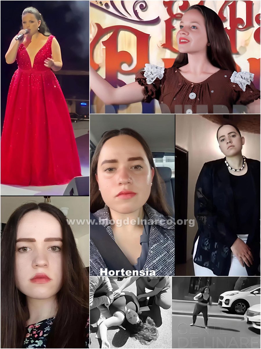 Blog del Narco México tweet media