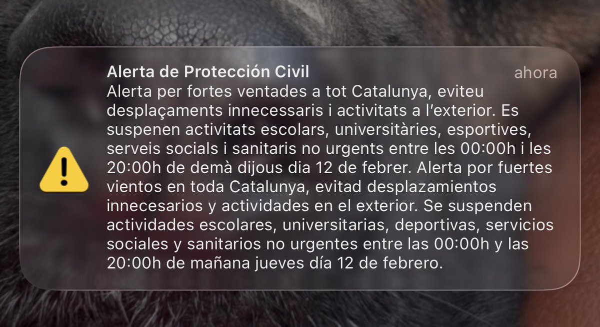 Es posa seria la cosa