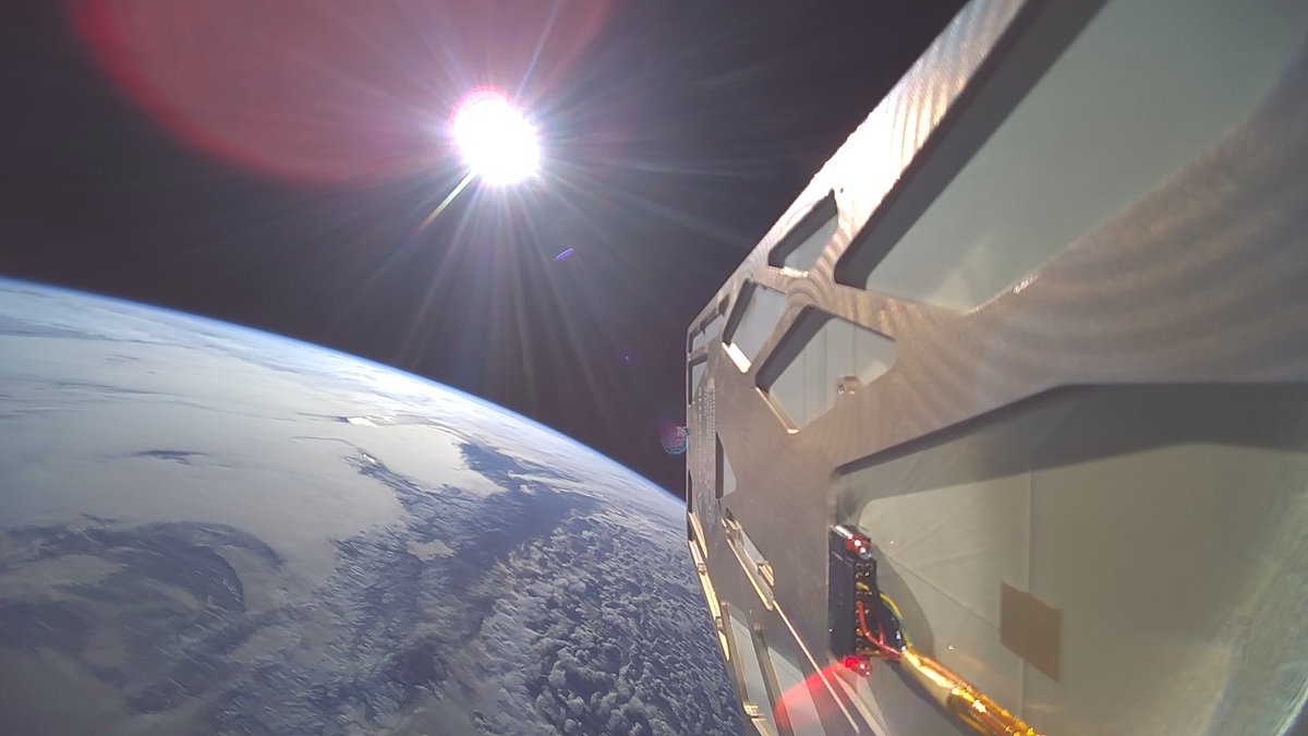 Егор tweet media