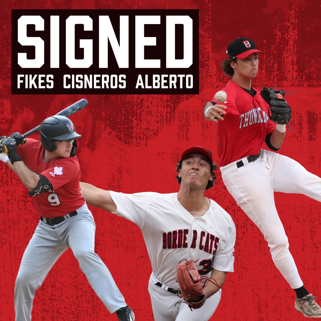 Thunder Bay Border Cats tweet media