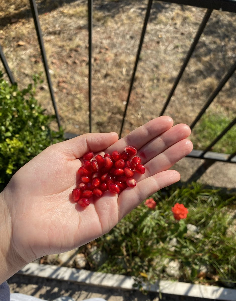 • kırılgan yaşamlarımızın her anında başımıza gelebilecek beklenmedik olayları düşünecek olursak, her yeni gün bir mucizedir •