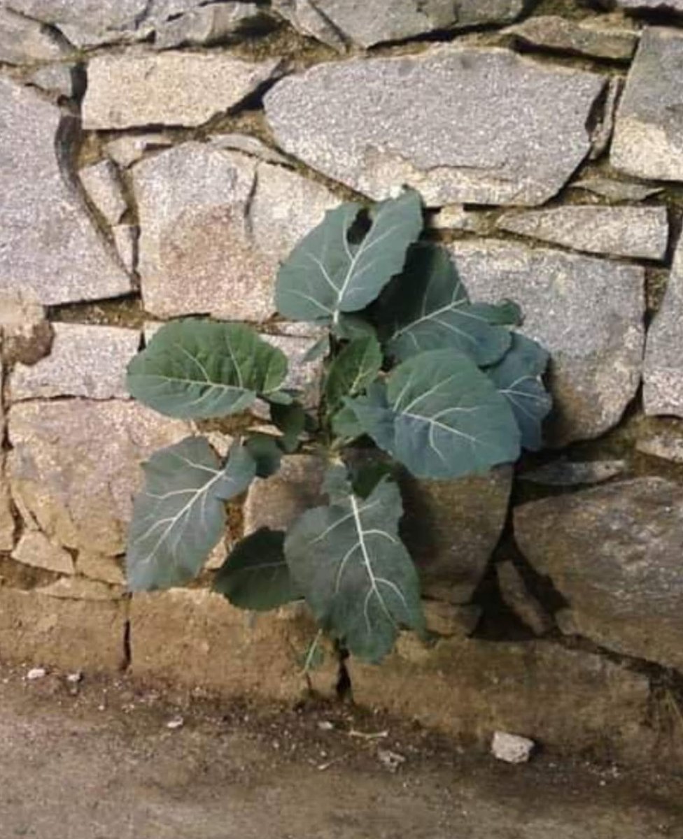 Cumamız hayırlara vesile olsun inşaallah…

“Rabbimiz bizi ve bizden önce geçmiş olan mü’min kardeşlerimizi bağışla! Kalplerimizde iman edenlere karşı hiçbir kin ve kötü duygu bırakma! 
Rabbimiz! Şüphesiz sen çok şefkatlisin, 
çok merhametlisin!”
Haşr-10