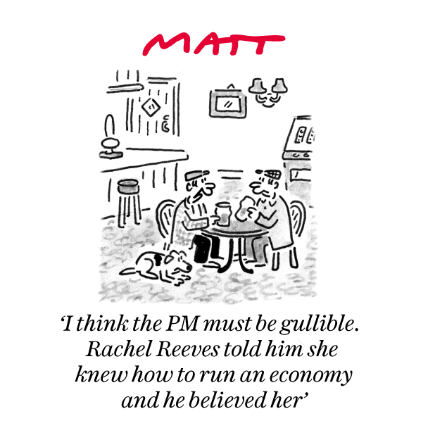 Matt Cartoons tweet media