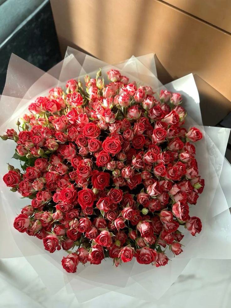 ____flowers__'s tweet photo. https://t.co/rHXIQeXvmx