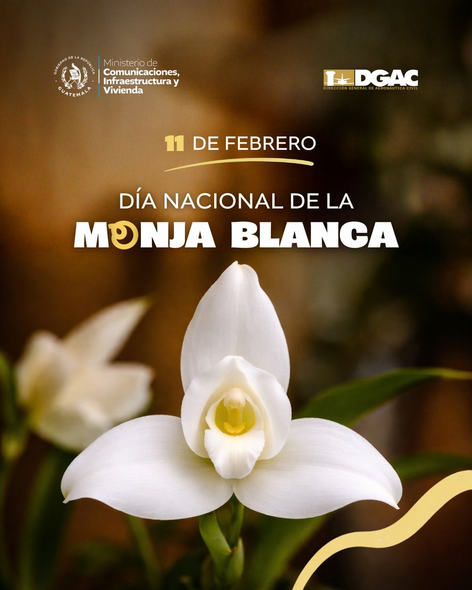 La DGAC conmemora el Día de la Monja Blanca, 🇬🇹🤍 símbolo patrio de Guatemala y emblema de nuestra identidad nacional. Honramos y promovemos el respeto por nuestro patrimonio natural. ✈️💙

<a href="/CIV_Guatemala/">Ministerio de Comunicaciones</a> 
<a href="/GuatemalaGob/">Gobierno de Guatemala 🇬🇹</a> 
<a href="/surianobuezo/">JoséFernando Suriano Buezo</a> 
<a href="/AGN_noticias/">AGN</a> 
<a href="/DiariodeCA/">Diario de Centro América</a> 
<a href="/RadioTGWTV/">📻 Radio TGWTV</a>