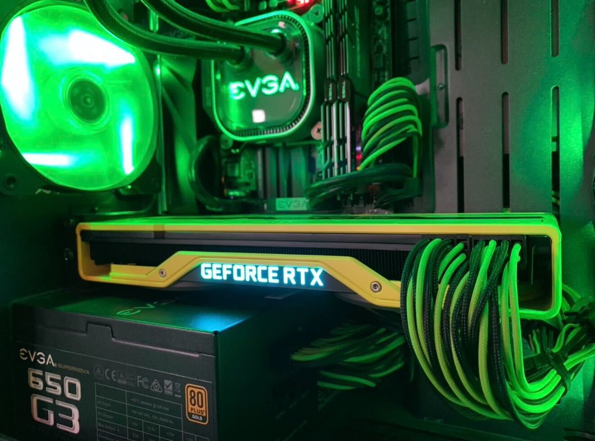 Jacob Freeman tweet media