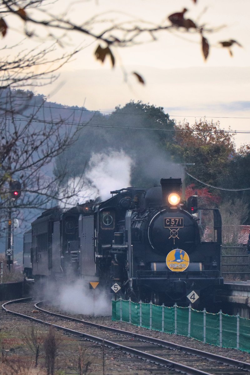 D51200「あ！俺！居ますんで後ろに！写ってる！？」
C571「うるせぇよ」
2019.11.24
#一日一200ﾁｬﾝ 
#D51200
#C571