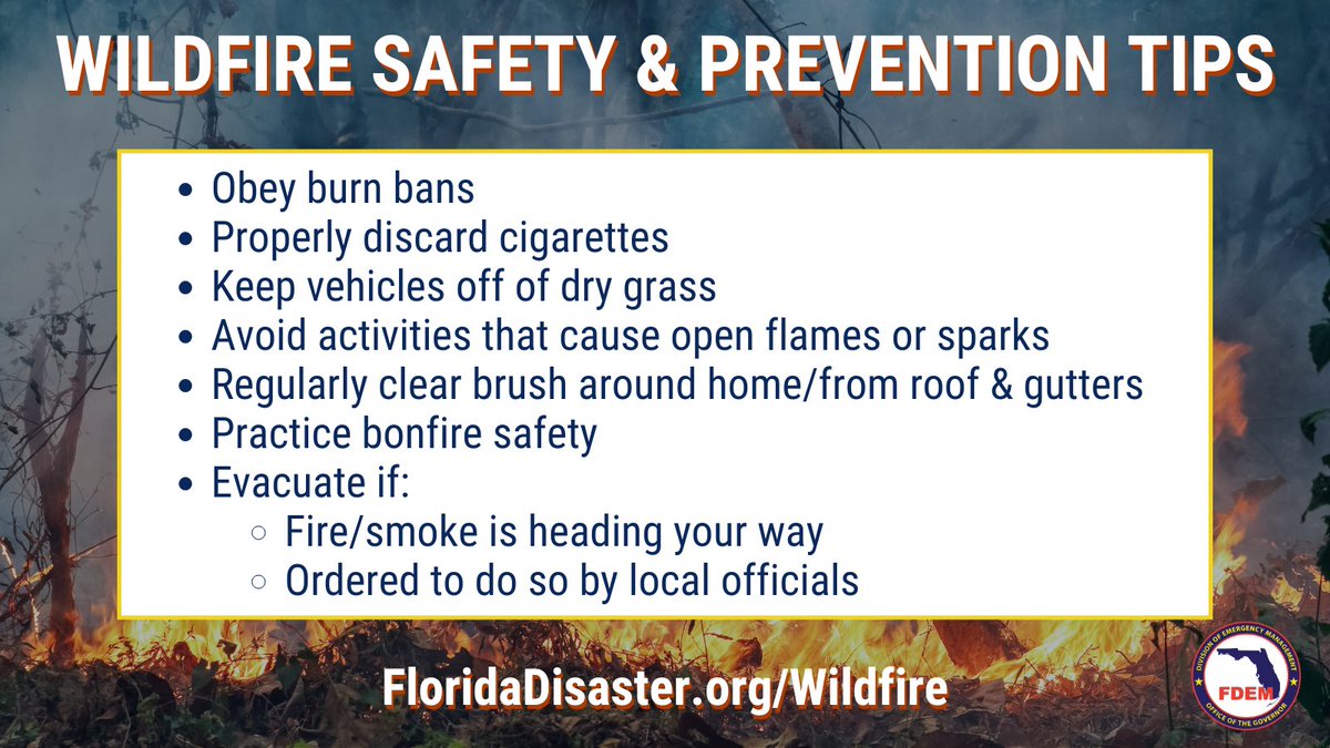 FL Division of Emergency Management tweet media