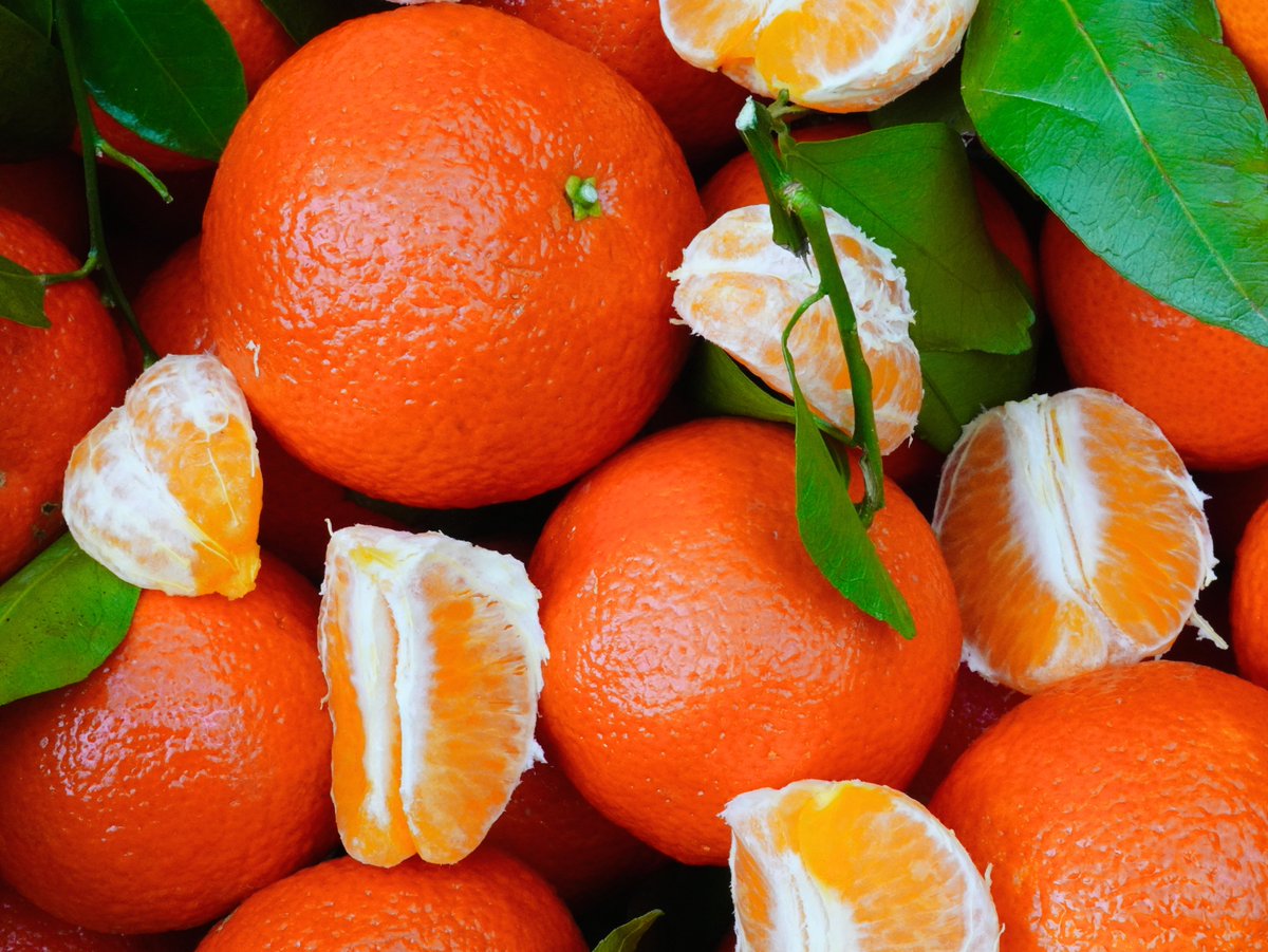 Kori Mandarins are showing off this season 🍊✨Deep vibrant orange color and strong green leaves make every piece stand out. Packed in Chinese New Year boxes with excellent late season quality and sweetness 🍃📦#KoriMandarins #FreshProduce #ChineseNewYear #CitrusSeason