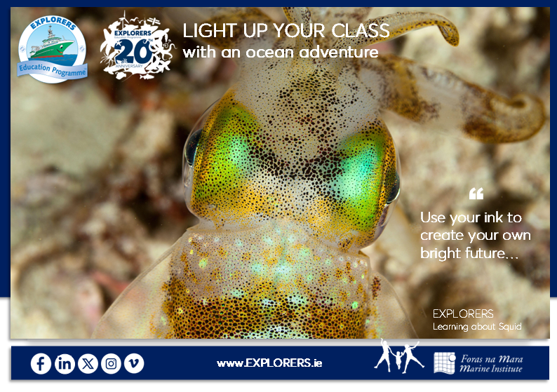 Explorers Education Programme tweet media