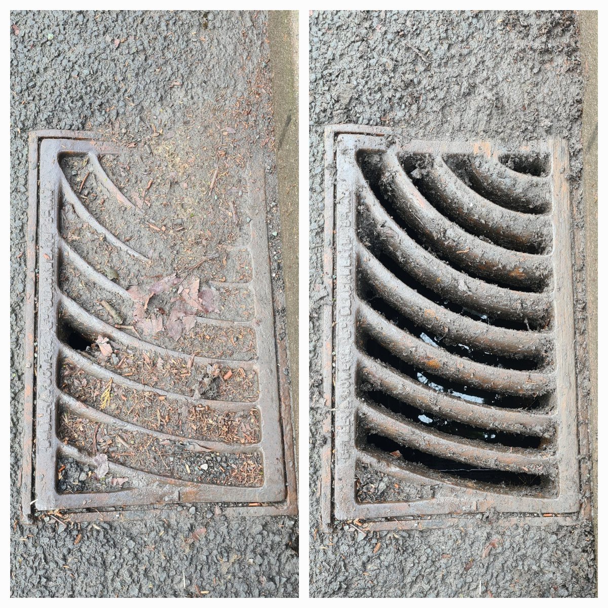 Mike The Litterpicker tweet media