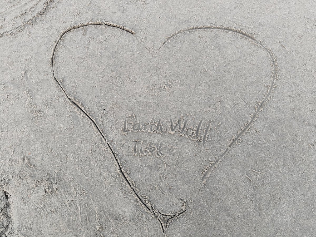 Earth Wolf tweet media