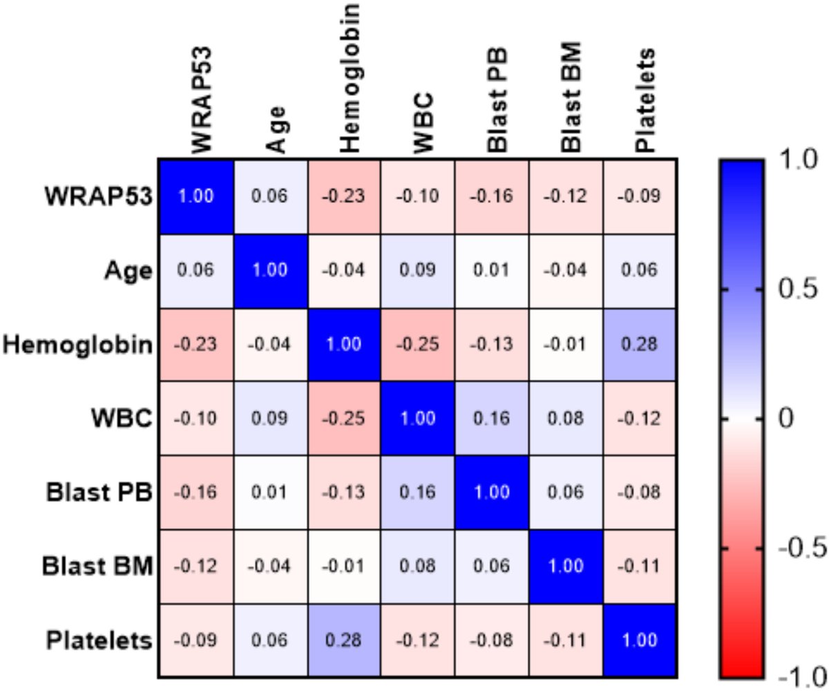 Wiley_CancerRep's tweet photo. Gadelha et al. analyzed association of WRAP53 &amp; hTERT with clinical outcomes in patients with acute myeloid leukemia (AML). Reduced expression of WRAP53 may serve as biomarker in AML.
https://t.co/qrg4Se2M6R
#CancerReports #Wiley #AcuteMyeloidLeukemia #WRAP53 #Biomarker https://t.co/6aIS8OWKj8