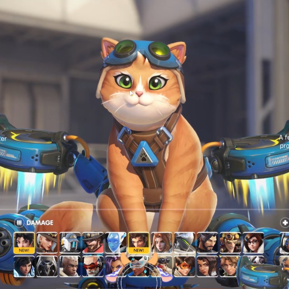 Puddles 🐮 💧 tweet media