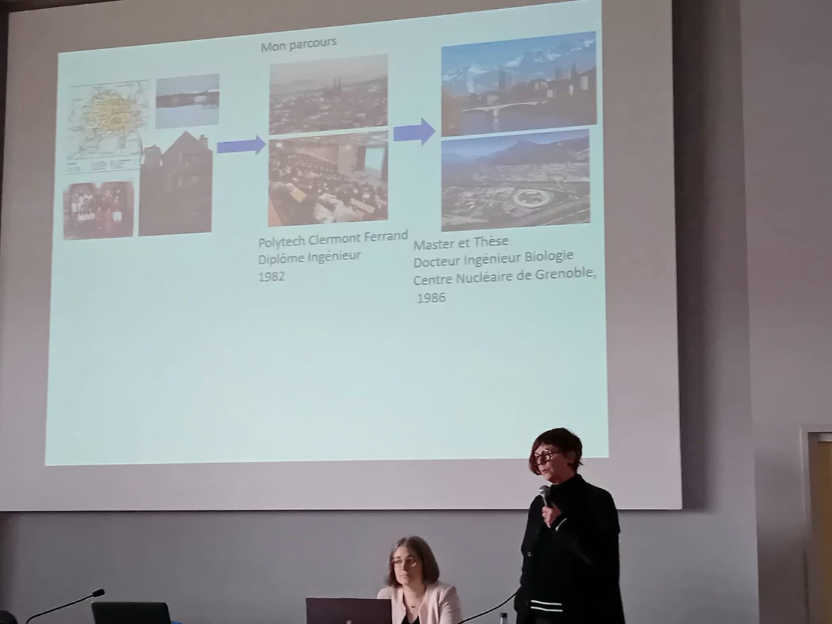 DSDEN 82 tweet media