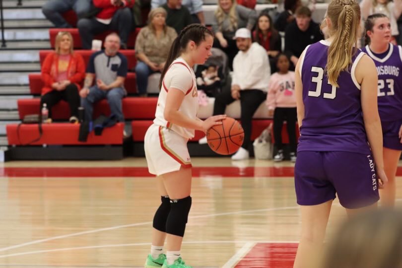 THS Girls Basketball tweet media